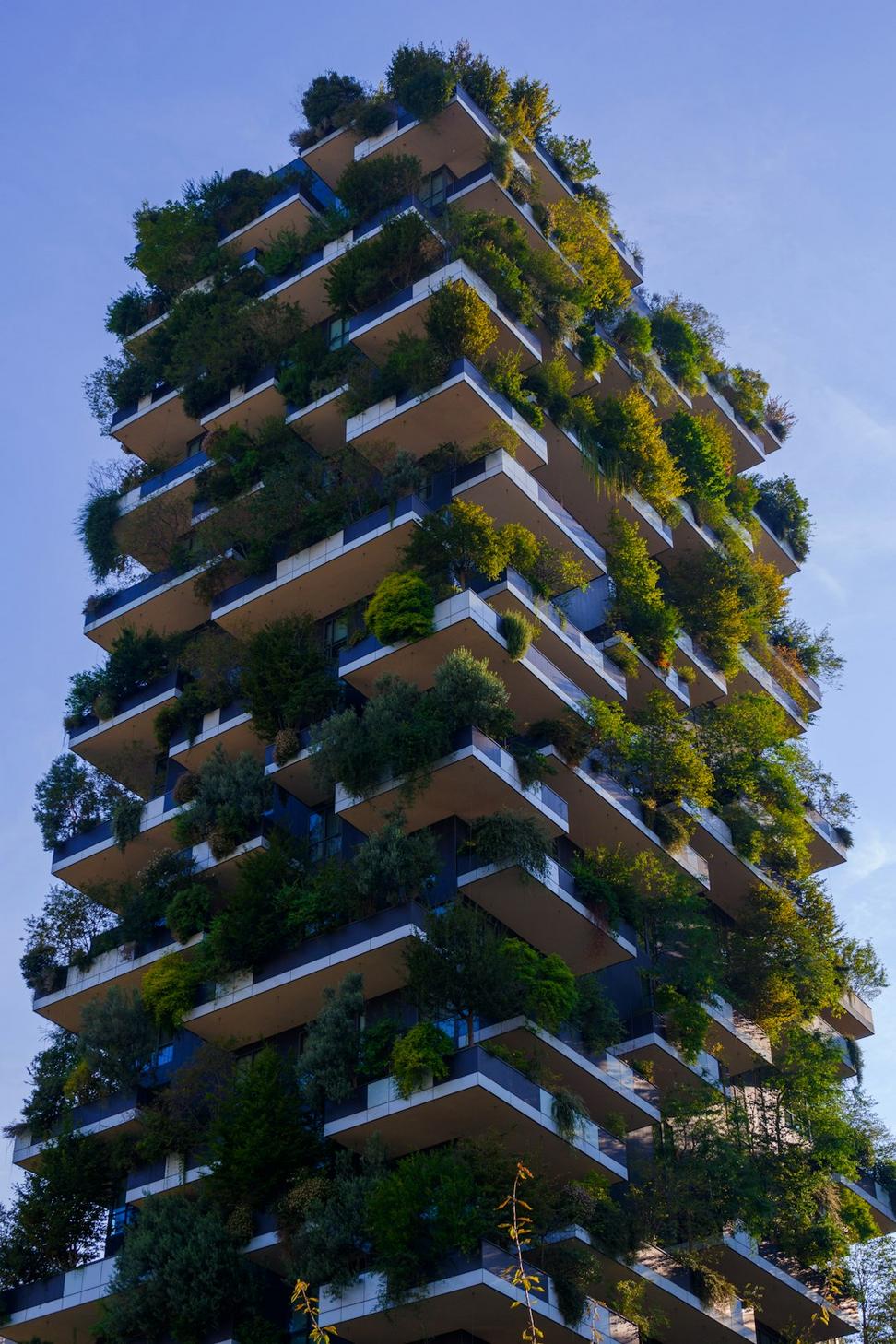 Sustainable Building Solutions